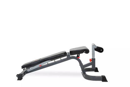 BANCO DE PESAS RECLINABLE POWERMARK 430C